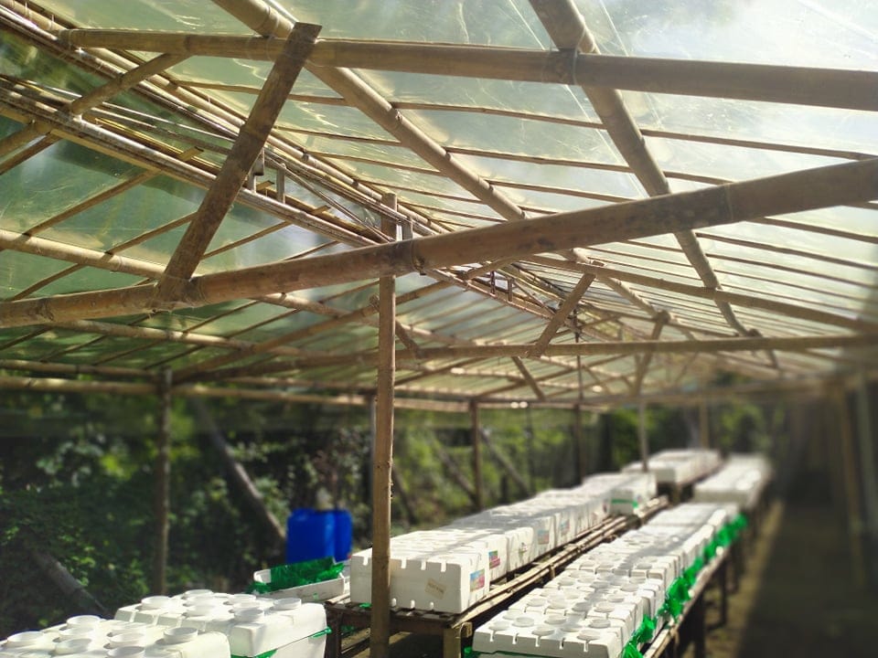 Person holding donation box